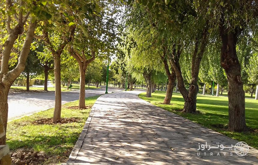 درختان زیبای پارک جنگلی توسکای تهران